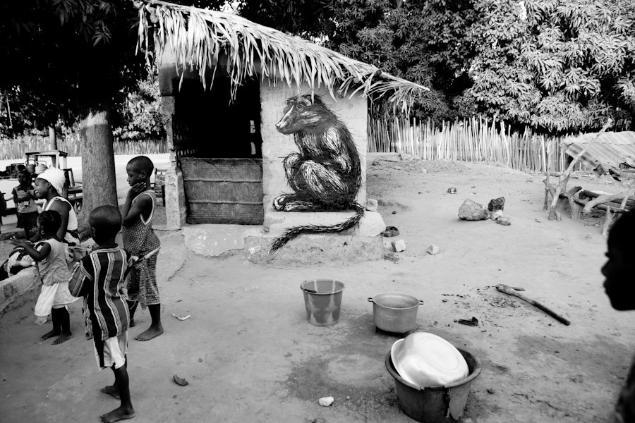 Mural de ROA, mono, en Gambia